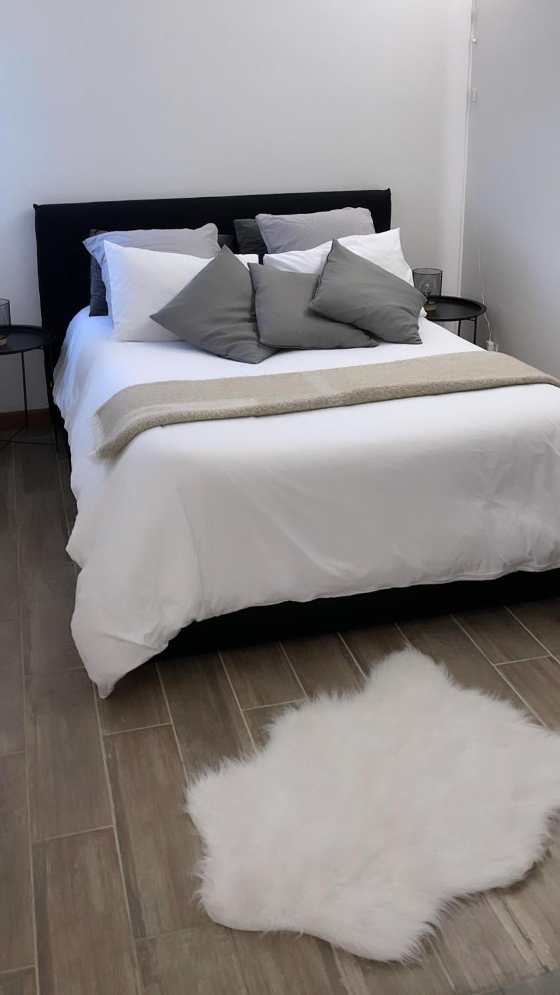 Elegant T2 Blagnac - Parking -Aeroport-Airbus- Meett Apartment Exterior photo